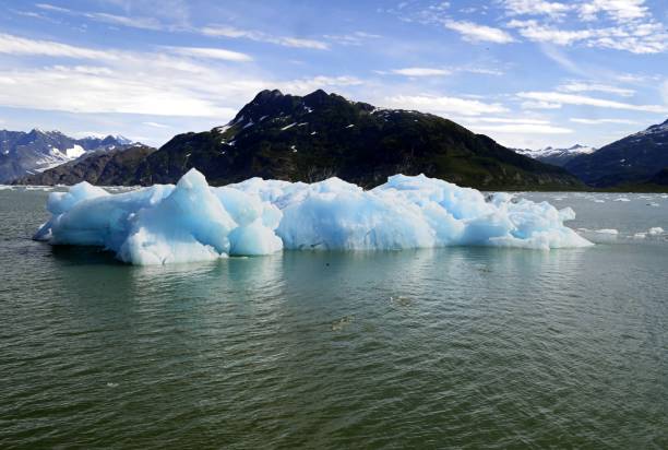 istock Blue Ice in Columbia Bay 1409173116