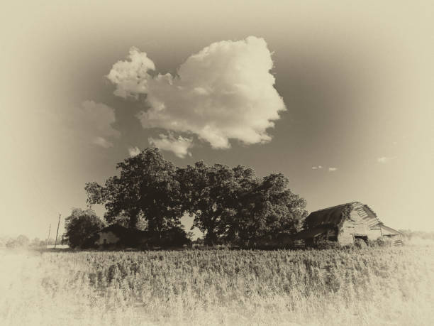 The great Canadian Prairies on old Camera film