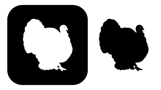 Vector illustration of two black and white turkey icons.