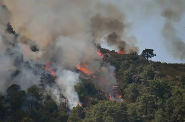 Fire in Collado Mediano