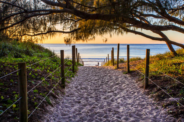 Forster 1 mile passage to beach rise