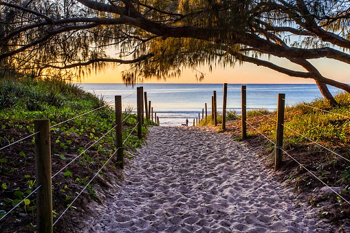 Passage through dune regeneration reserve to One Mile beach in Forster town of Australia at sunrise.