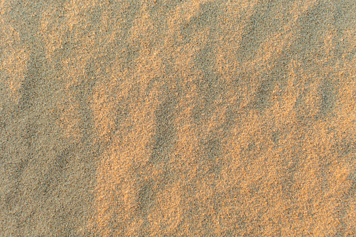 The texture of yellow sand close-up. Natural background.