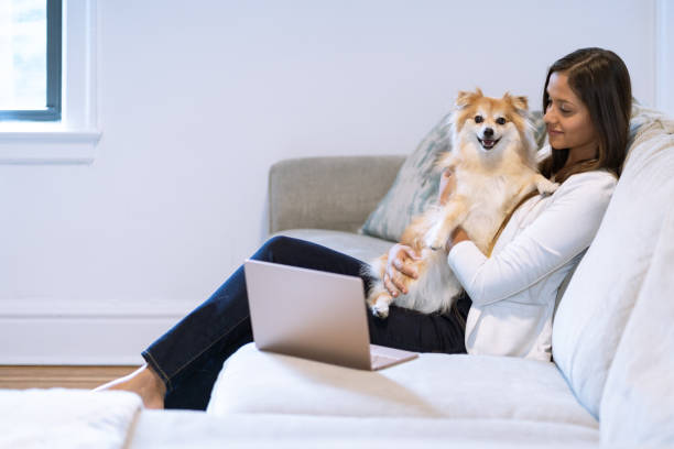 istock Young woman holding a German Spitz dog at home 1409199300