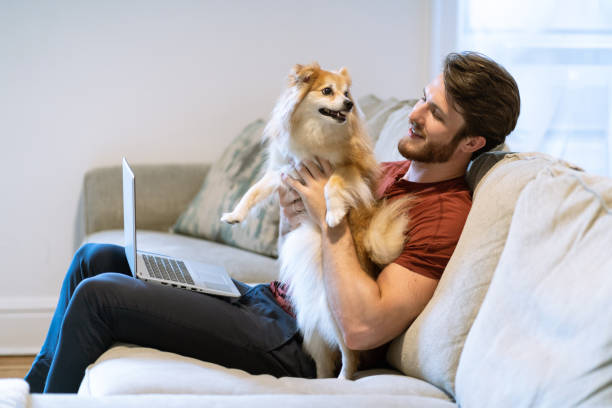 istock Young man holding his dog at home while working from home 1409199307