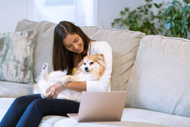 istock Young woman holding a German Spitz dog at home 1409200434