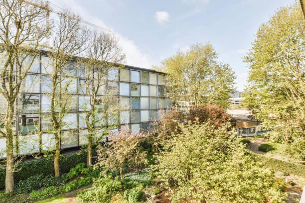 istock Exterior of spacious green backyard 1409201989