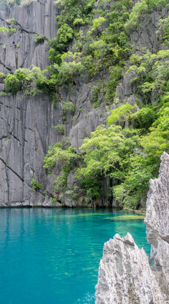 istock Pristine water at Barracuda Lake, Coron, Phillipines 1409208699