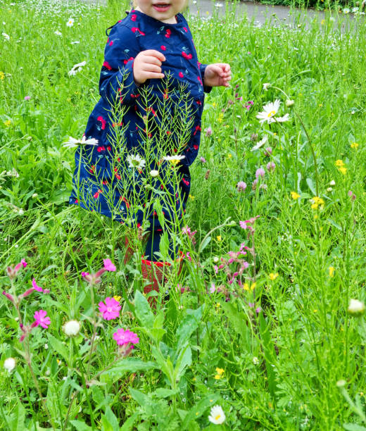 Children's day & childhood concept. Happy little blond girl runs & plays in buttercups meadow, having fun outdoors, connecting with nature. People and nature.