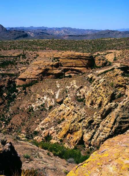 istock Sonora Desert Arizona 1409213804