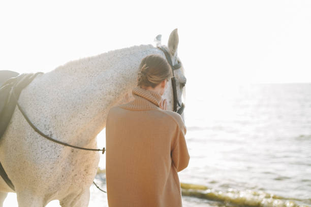 young woman in beige sweater with white horse on seascape background - horse animals in the wild water beach imagens e fotografias de stock