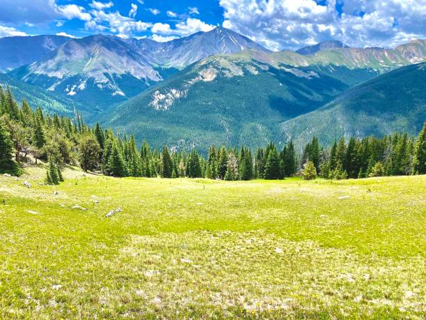 istock Mount Parnassus Colorado meadow 1409222902