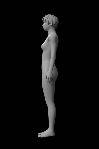 istock Woman, Human Female Body, 3D 1409230449