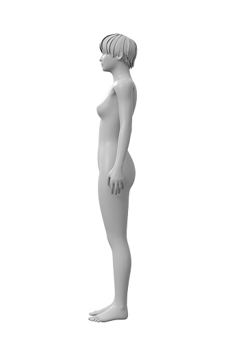 3D model of woman’s body. Isolated on white background.