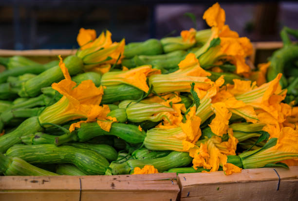 프랑스 리비에라 니스 시장에서 쿠르게트 또는 호박 꽃 - zucchini farm store flower 뉴스 사진 이미지