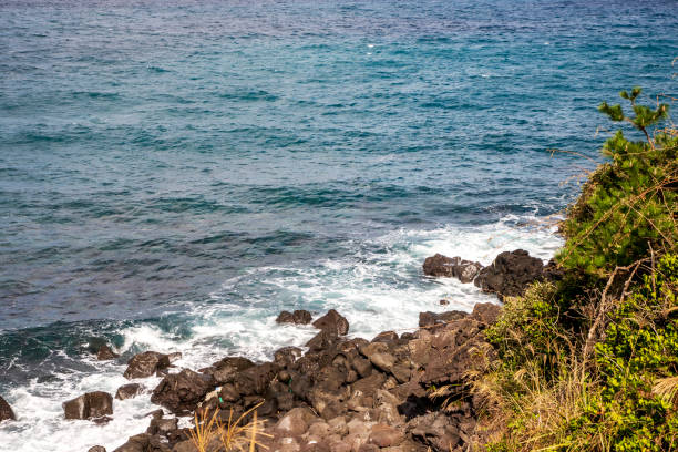 istock The Olle Route in Jeju Island 1409236417