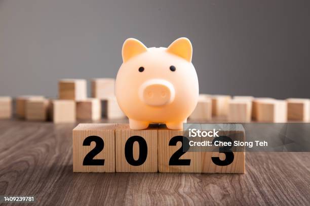 Piggy Bank On Top Of Wooden Block Budget Plan 2023 Stock Photo - Download Image Now