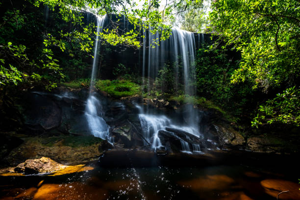 istock Phu Kradueng National Park 1409239879