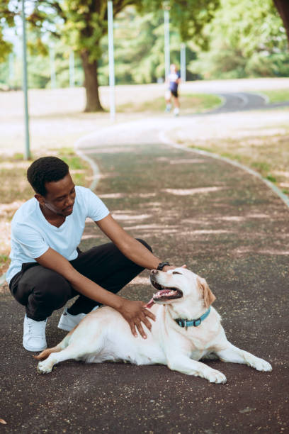 istock Young man working out at public park on hot sunny morning 1409247461