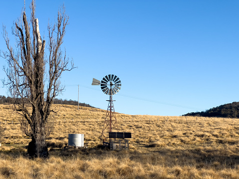 Horizontal photo of a rural landscape with dry yellow Winter grass, an Elm mop tree with bare branches and a windmill on a farm in the New England high country near Armidale, northern NSW.
