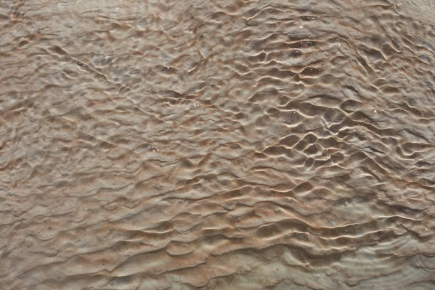 istock Pamukkale travertines Macro Nature 1409250126