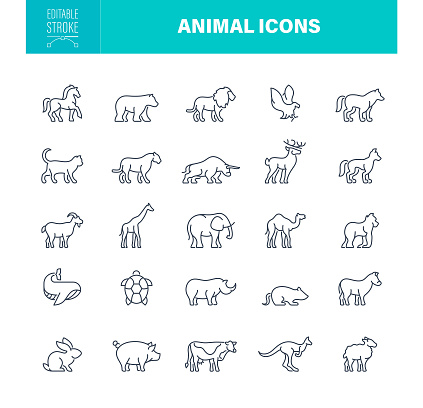 25 Animal Outline Icons. Dog, Cat, Bear, Mouse, Sheep, Rabbit, Giraffe, Elephant, Goat, Lion, Tiger, Hippo, Cow, Pig, Monkey, Rhinoceros, Bull
