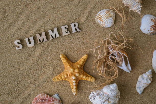 istock Composition with text SUMMER seashells, pebbles, mockup on sand background. Blank, top view, still life, flat lay. Sea summer vacation travel concept tourism and resorts. 1409250342