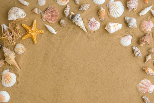 istock Composition frame for copy space, seashells, pebbles, mockup on sand background. Blank, top view, still life, flat lay. Sea summer vacation travel concept tourism and resorts. 1409250918