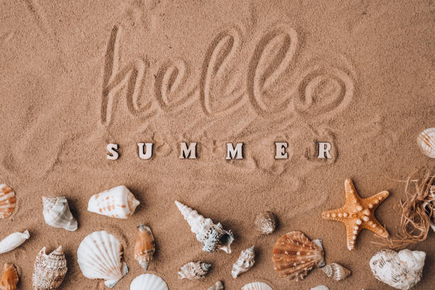 istock Composition with text HELLO SUMMER seashells, pebbles, mockup on sand background. Blank, top view, still life, flat lay. Sea summer vacation travel concept tourism and resorts. 1409250943