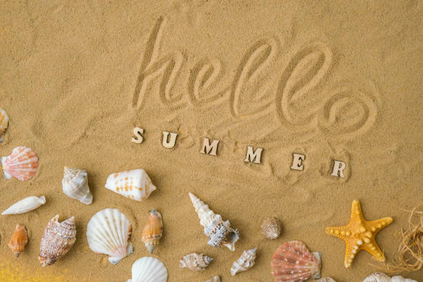istock Composition with text HELLO SUMMER seashells, pebbles, mockup on sand background. Blank, top view, still life, flat lay. Sea summer vacation travel concept tourism and resorts. 1409250973