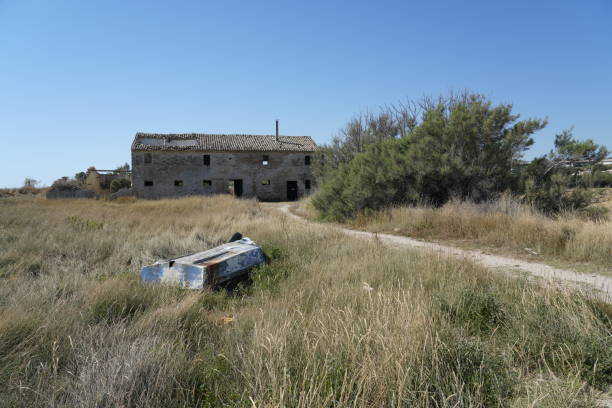 Traditional boats used by fishermen in the Albufera Natural Park, Valencia, Spain