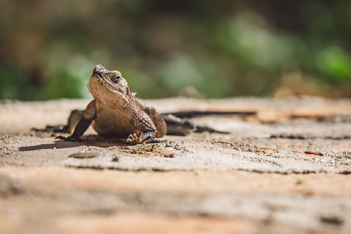 Photo taken in Ibulyu, Tanzania