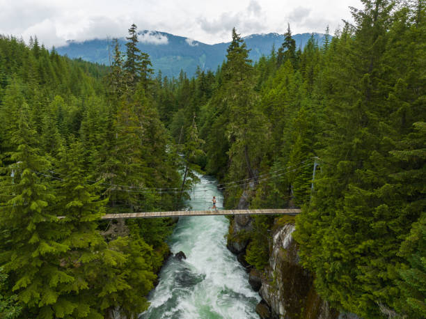 istock Woman running over a suspension bridge over a river in a temperate rainforest 1409253128