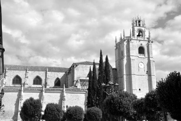 view of the cathedral of san antolin in the city of palencia, spain. - palencia province imagens e fotografias de stock
