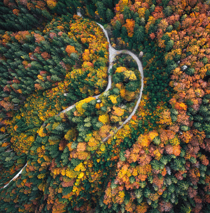 Aerial view on idyllic winding country road through the colourful forest.