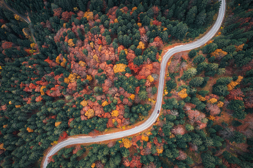 Aerial view on a car driving on idyllic winding country road. Mixed forest in autumn colours.