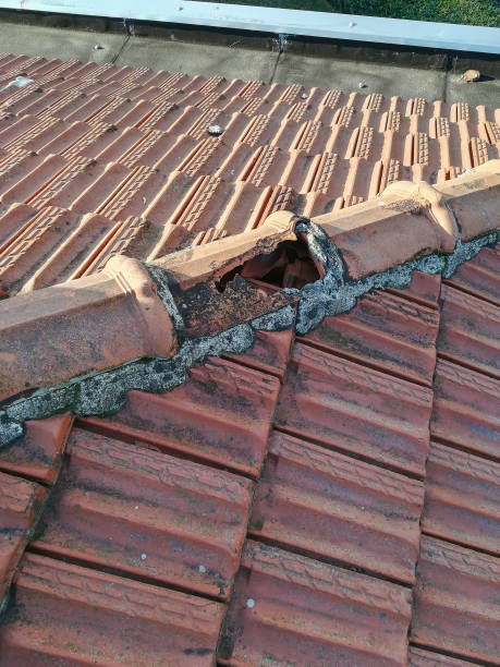 istock damaged roof tiles 1409254869