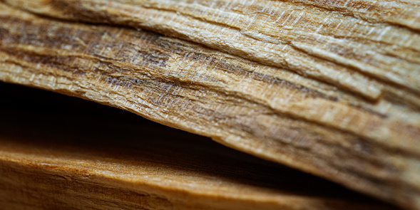 Macro shot of wooden texture