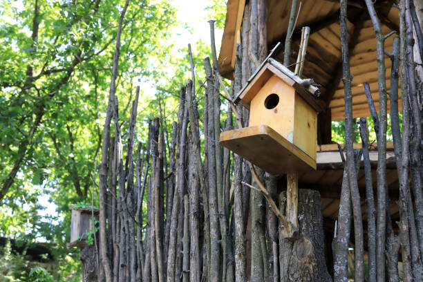 istock View of nesting box on fence 1409257739