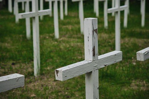 Lumivaara, Republic of Karelia. Old abandoned Finnish cemetery in Russia. White wooden crosses stand in row and green manicured lawn. Burial culture. Minimalistic background.
