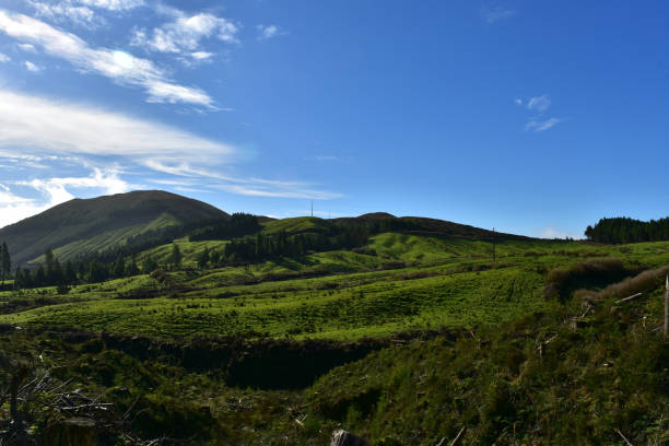 istock Scenic Landscape with Rolling Green Hills and Craters 1409258931