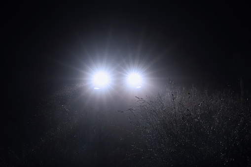 Night scene. The car's lights illuminate the wet grass