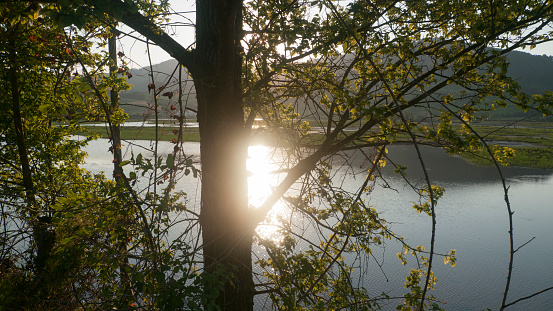 Sun reflection in a wetland river