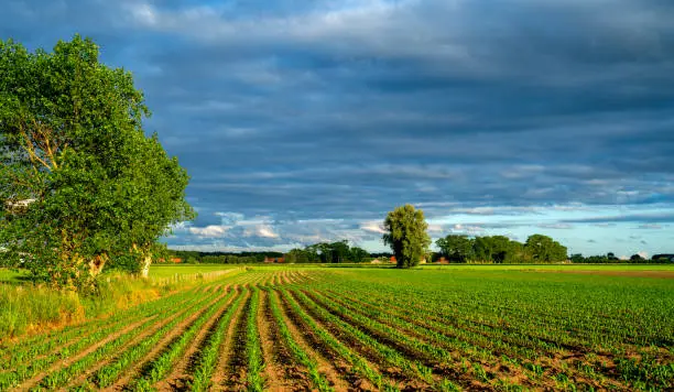 Landscape in a rural area in Belgium