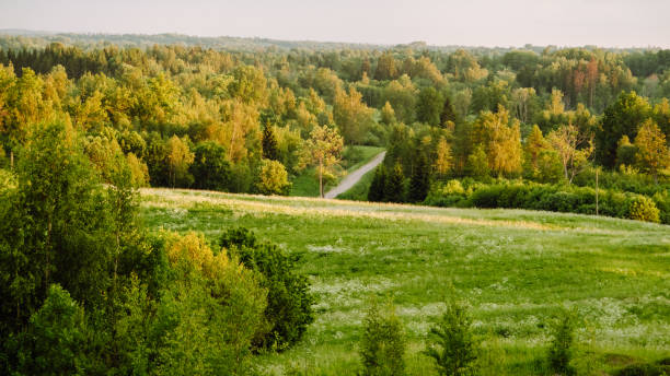 istock Beautiful Latvian landscape with forests, meadows, cloudy skies. 1409262747