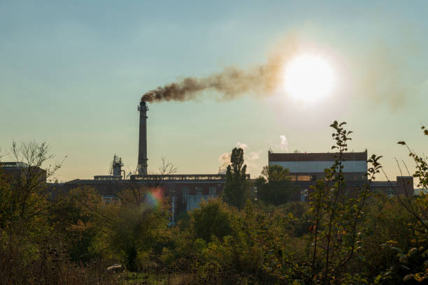Factory Pollution at sunset