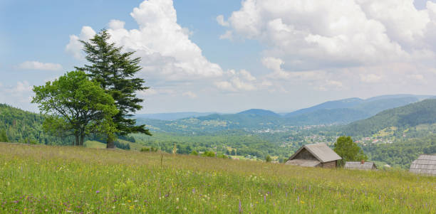 malerisches bergdorf in den karpaten - eastern europe mountain range mountain village stock-fotos und bilder