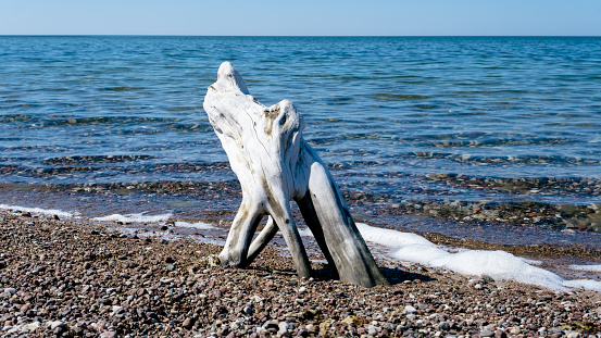 Walking along the beach, the drift wood and wall of sand protected the estuary from the surf.