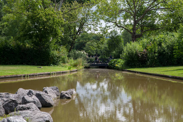 istock Stones Inside A Pond At The Oosterpark Amsterdam The Netherlands 1409268197