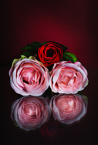 Close-up of roses of various colors, reflected in a dark glass, with red background.
